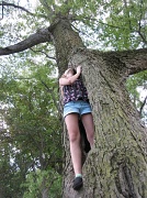 20th Aug 2012 - In a Tree