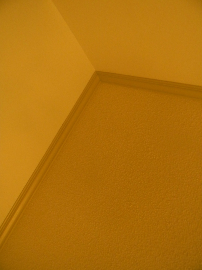 Ceiling of Living Room 8.21.12 by sfeldphotos