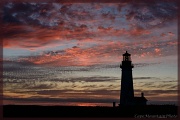 22nd Aug 2012 - Sunset at Yaquina Head Light House