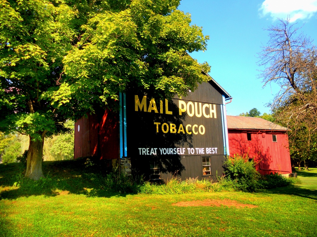 Mail Pouch Barn by yentlski