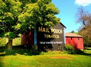 22nd Aug 2012 - Mail Pouch Barn