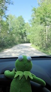 22nd Aug 2012 - Froggin' Around