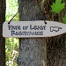 The Worn Path by sunnygreenwood