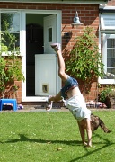 23rd Aug 2012 - Cartwheeling