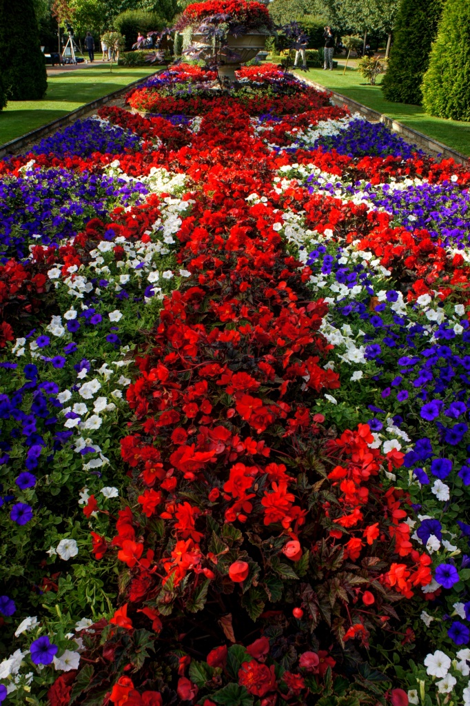 Union flower bed by boxplayer