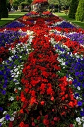 22nd Aug 2012 - Union flower bed