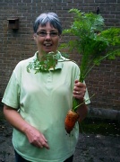 23rd Aug 2012 - First decent sized carrot I've grown!  