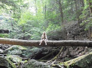 23rd Aug 2012 - Sitting on a Log