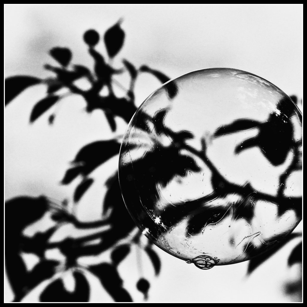Bubble in Black and White by kph129