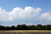 23rd Aug 2012 - Clouds Fields Trees