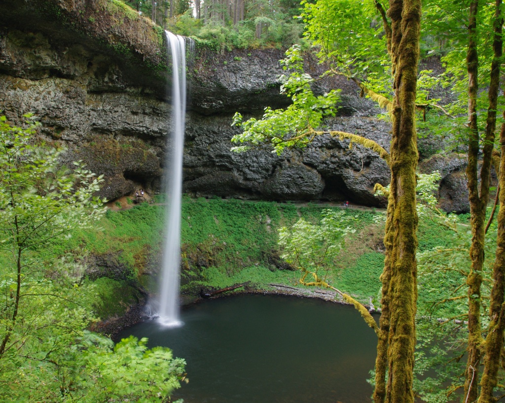 Silver Falls, Oregon by vickisfotos