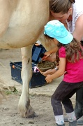 22nd Aug 2012 - Cleaning the hooves