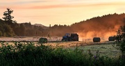 23rd Aug 2012 - Making Hay