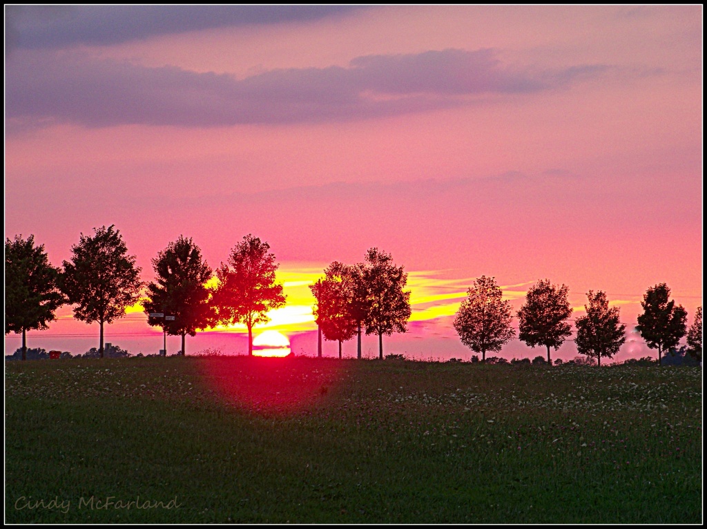 Tree Lined Sunset by cindymc