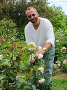 9th Jul 2010 - Billy's Gorgeous Garden Roses