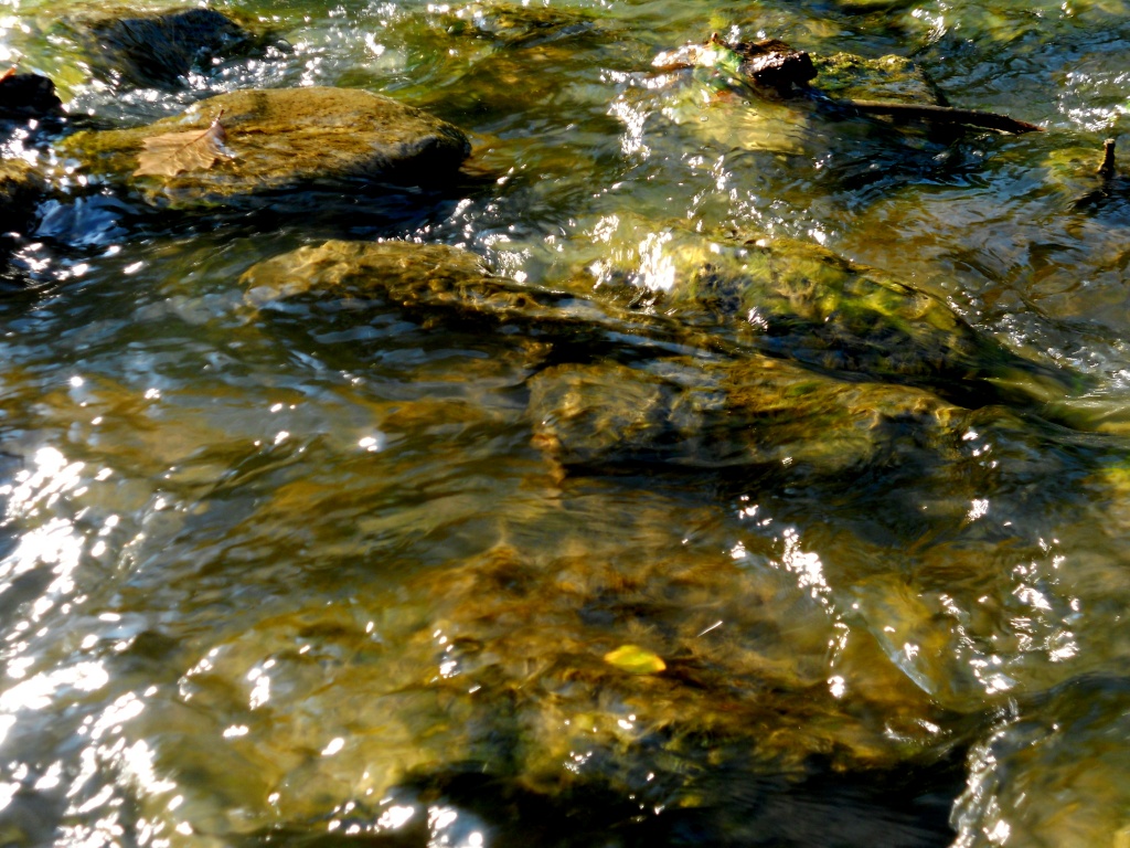 River Rocks by yentlski
