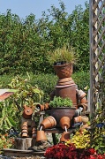 24th Aug 2012 - Scarecrow