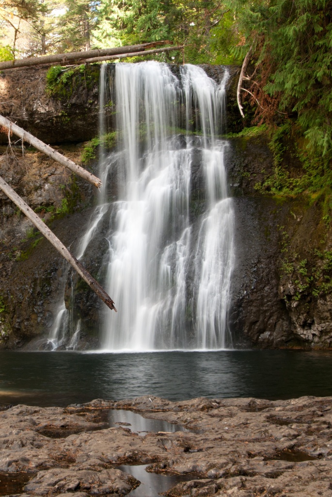 Upper North Falls, Silver Falls State Park, Oregon by vickisfotos
