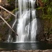 Upper North Falls, Silver Falls State Park, Oregon by vickisfotos