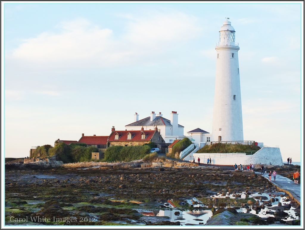 St.Mary's Lighthouse And Island by carolmw