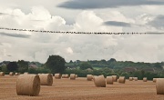25th Aug 2012 - Of stormy skies, starlings, and straw bales.