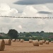 Of stormy skies, starlings, and straw bales. by dulciknit