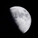moon by pocketmouse