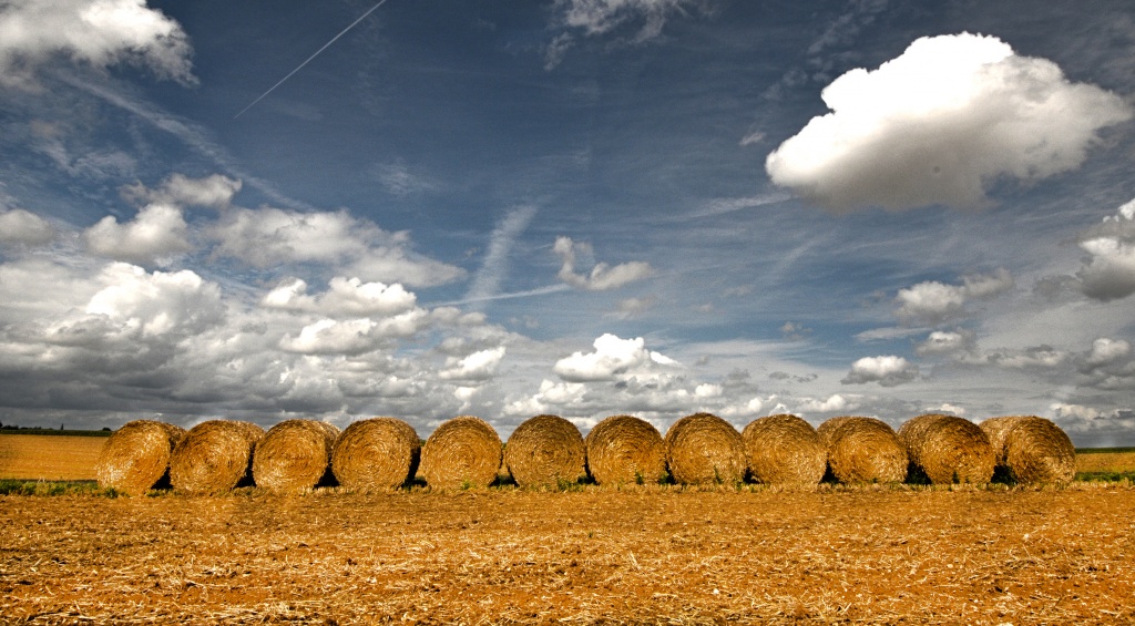 Straw Bales by seanoneill