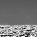 Yacht on horizon B+W by seanoneill