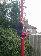25th Aug 2012 - Up the pole