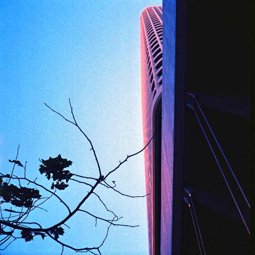 Leaves and tower by peterdegraaff