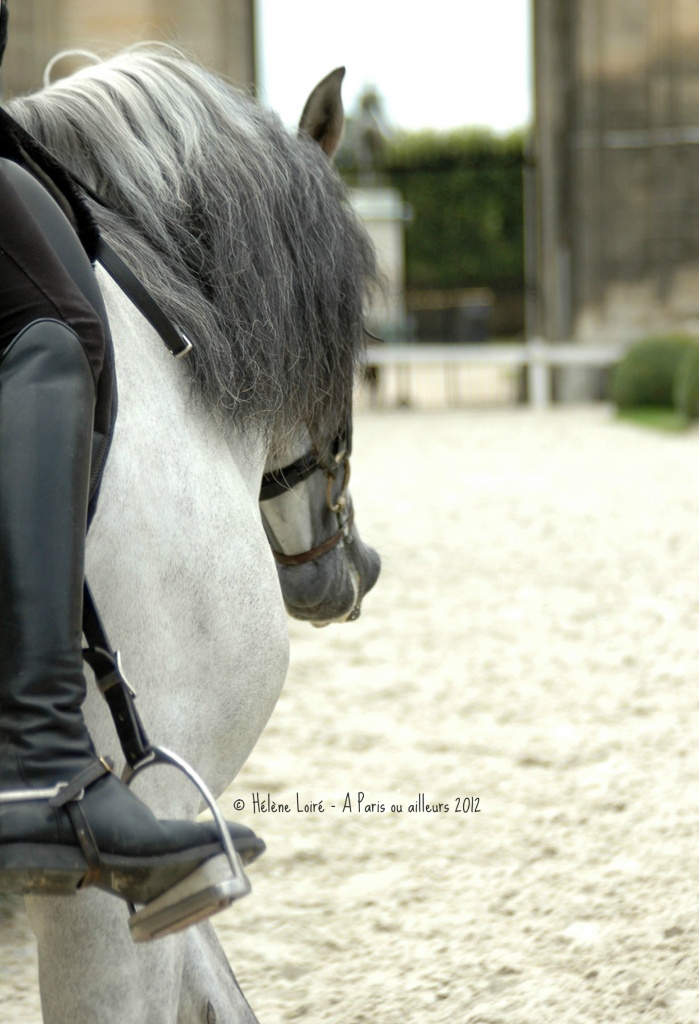 The Great Stables - Chantilly by parisouailleurs