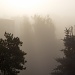 Misty morning by joa