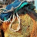 Fish Nets by rosbush