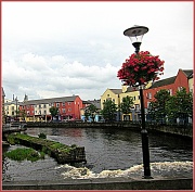 16th Aug 2012 - Sligo 