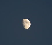 26th Aug 2012 - Moon 8.26.12 