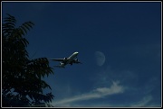 26th Aug 2012 - fly me to the moon