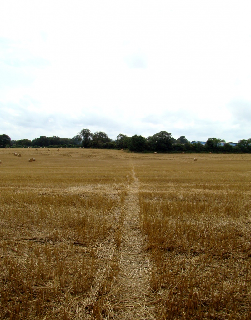 Straight Footpath v3 'Harvest' by bulldog
