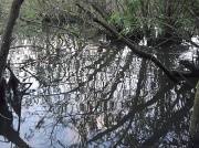 20th Aug 2012 - Reflections