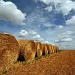 Straw Bales  by seanoneill