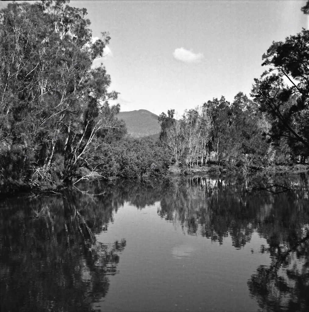 Punkalla Creek by peterdegraaff