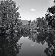 28th Aug 2012 - Punkalla Creek