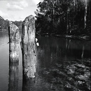 28th Aug 2012 - Old Pier