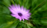 28th Aug 2012 - Zooming
