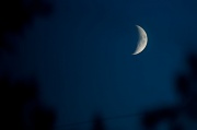 22nd Aug 2012 - Blue Moon