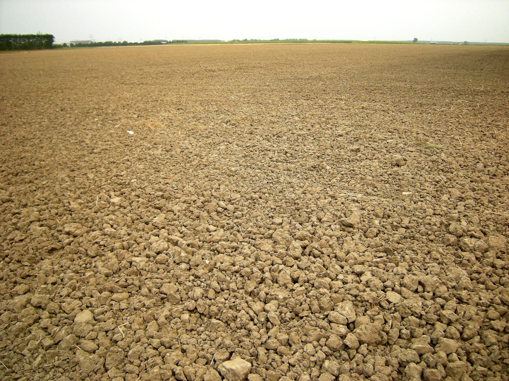 Ploughed and harrowed  , waiting for the sower by pyrrhula