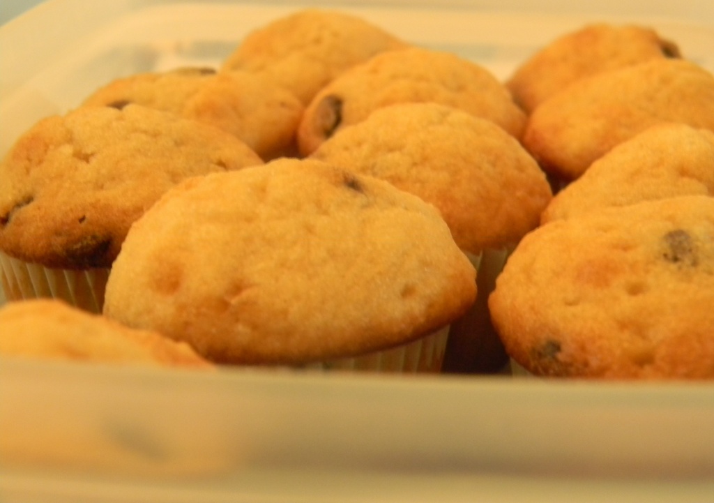 Chocolate Chip Muffins 8.28.12 by sfeldphotos
