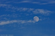 29th Aug 2012 - Blue moon