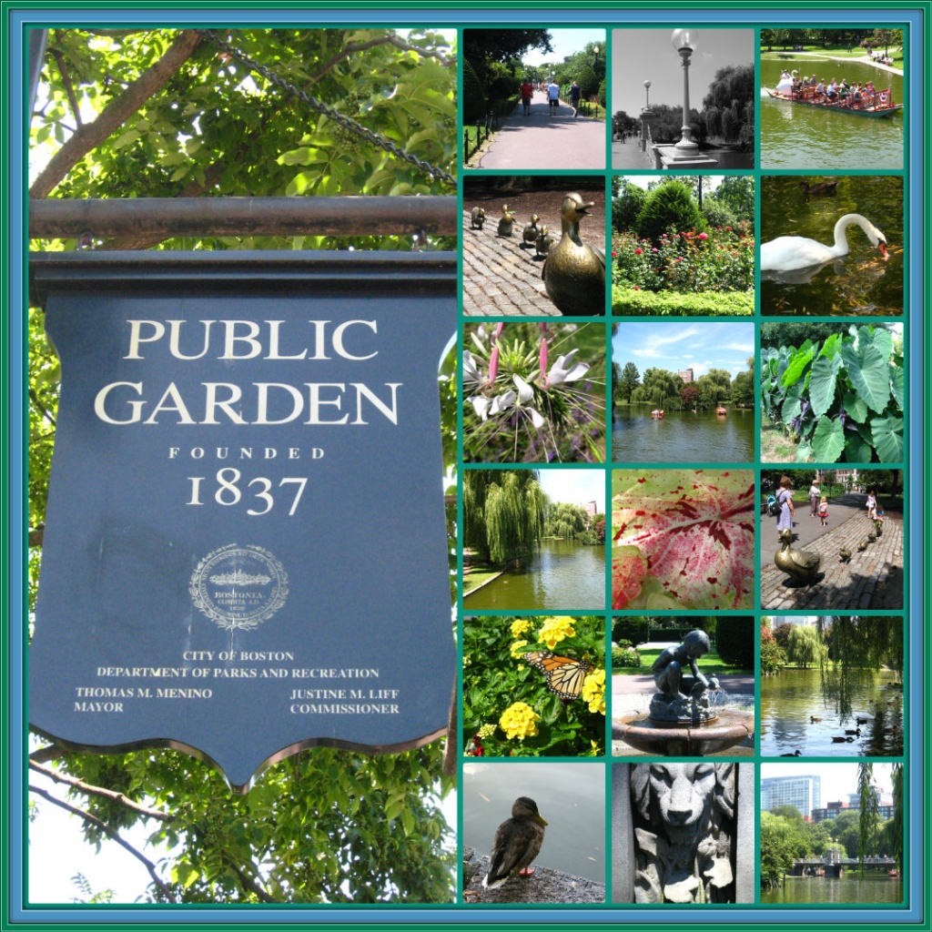 The Public Garden by olivetreeann