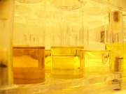 15th Dec 2011 - Yellow science
